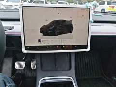 Tesla Model Y Rear-Wheel Drive - ფოტო 9