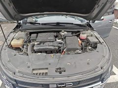 BYD Destroyer 05 DM-i 55KM Comfort - ფოტო 16