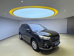 Haval M6 2021 PLUS 1.5T DCT Luxury Smart Connected Edition - ფოტო 3