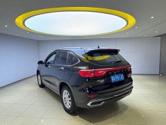 Haval M6 2021 PLUS 1.5T DCT Luxury Smart Connected Edition - ფოტო 4