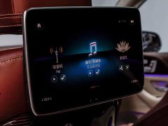 Mercedes-Benz Maybach GLS 2021 GLS 480 4MATIC - ფოტო 11