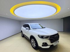 Haval H6 2021 National Trend 1.5T Automatic Champion Edition - ფოტო 3