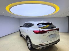 Haval H6 2021 National Trend 1.5T Automatic Champion Edition - ფოტო 6