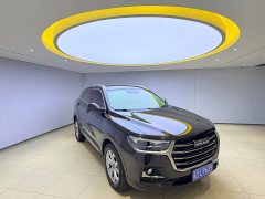 Haval H6 2023 National Trend Edition 1.5T Automatic Champion Version - ფოტო 3