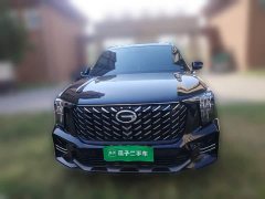 GAC Aion GS8 Pioneer Series 2.0T GDI FWD Luxury Edition 7-Seater - ფოტო 2