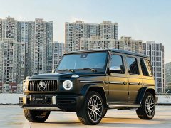 Mercedes-Benz Mercedes-AMG G 63 2020 Timeless Edition - ფოტო 19