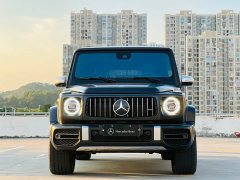 Mercedes-Benz Mercedes-AMG G 63 2020 Timeless Edition - ფოტო 2