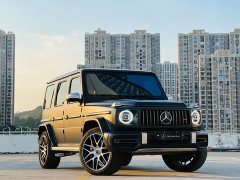 Mercedes-Benz Mercedes-AMG G 63 2020 Timeless Edition - ფოტო 3