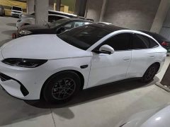 BYD Dolphin 06 DM-i Smart Drive Edition 80KM Luxury - ფოტო 4