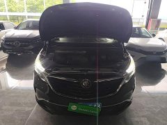 Buick GL8 ES Land Respect 653T Respect Enjoyment Edition - ფოტო 15