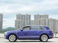 Bentley Bentayga 4.0T V8 Long Wheelbase Elegance Edition - ფოტო 13