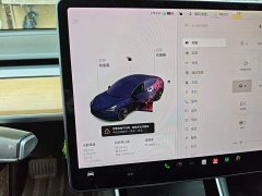 Tesla Model 3 2020 Facelift Standard Range RWD Upgrade - ფოტო 13