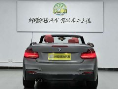 BMW 2 Series (Imported) 2019 225i Convertible Coupe Luxury M Sport Package - ფოტო 10