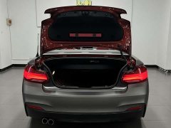 BMW 2 Series (Imported) 2019 225i Convertible Coupe Luxury M Sport Package - ფოტო 16
