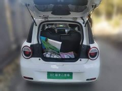 Changan Lumin Treasure Edition 205km Cool Love White CATL - ფოტო 15