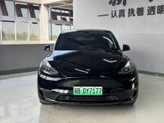 Tesla Model Y Long Range All-Wheel Drive - ფოტო 1