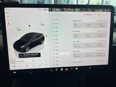 Tesla Model Y Long Range All-Wheel Drive - ფოტო 11