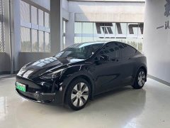 Tesla Model Y Long Range All-Wheel Drive - ფოტო 2