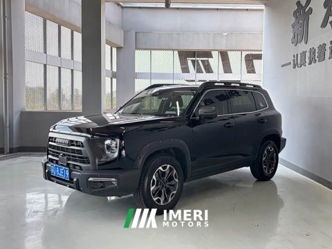 2024 Great Wall Dachshund 2.0T DCT Chinese Rural Dog Edition - ავტომობილი ჩინეთიდან