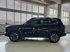 Great Wall Dachshund 2.0T DCT Chinese Rural Dog Edition - ფოტო 12