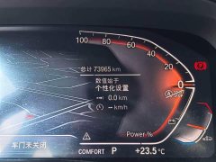 BMW X5 xDrive 30Li Luxury M Sport Package - ფოტო 12