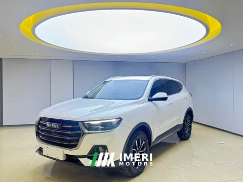2022 Haval H6 2021 National Trend Edition 1.5T Automatic Urban Version - ავტომობილი ჩინეთიდან