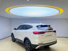 Haval H6 2021 National Trend Edition 1.5T Automatic Urban Version - ფოტო 4