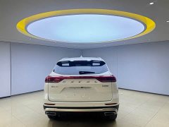 Haval H6 2021 National Trend Edition 1.5T Automatic Urban Version - ფოტო 5
