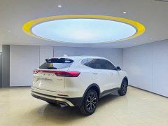Haval H6 2021 National Trend Edition 1.5T Automatic Urban Version - ფოტო 6