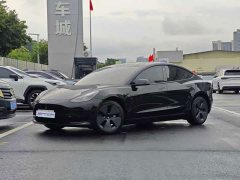 Tesla Model 3 Standard Range RWD Upgrade 3D6 - ფოტო 1