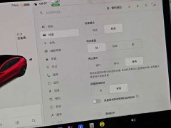 Tesla Model 3 Standard Range RWD Upgrade 3D6 - ფოტო 11