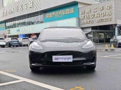 Tesla Model 3 Standard Range RWD Upgrade 3D6 - ფოტო 2