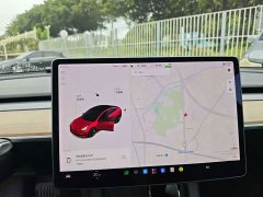 Tesla Model 3 Standard Range RWD Upgrade 3D6 - ფოტო 6