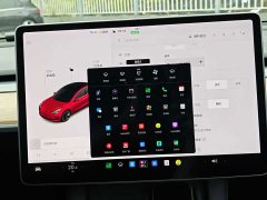 Tesla Model 3 Standard Range RWD Upgrade 3D6 - ფოტო 7