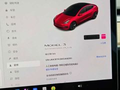 Tesla Model 3 Standard Range RWD Upgrade 3D6 - ფოტო 8
