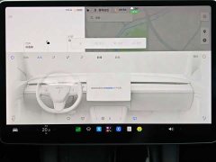 Tesla Model 3 Standard Range RWD Upgrade 3D6 - ფოტო 9