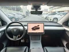 Tesla Model Y Rear-Wheel Drive - ფოტო 11