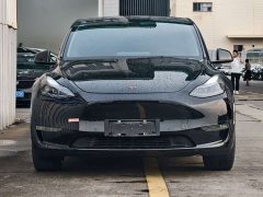 Tesla Model Y Rear-Wheel Drive - ფოტო 2