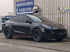 Tesla Model Y Rear-Wheel Drive - ფოტო 3