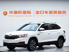 Skoda Kamiq 1.5L Automatic Comfort Edition - ფოტო 1