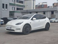 Tesla Model Y High Performance All-Wheel Drive - ფოტო 1