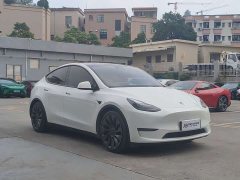 Tesla Model Y High Performance All-Wheel Drive - ფოტო 3