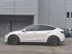 Tesla Model Y High Performance All-Wheel Drive - ფოტო 4