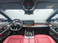 BMW 5 Series Facelift 530Li Premier M Sport Package - ფოტო 13