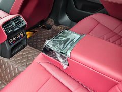 BMW 5 Series Facelift 530Li Premier M Sport Package - ფოტო 19