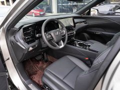 Lexus RX 300 AWD Premium Edition - ფოტო 9