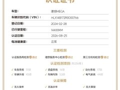 Li Auto Li Xiang MEGA Ultra - ფოტო 10