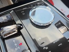 BMW 5 Series 530Li Luxury Edition Premium Package - ფოტო 13