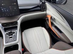 BYD Song Pro New Energy DM-i 51km Premium - ფოტო 10