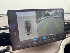 BYD Song Pro New Energy DM-i 51km Premium - ფოტო 16